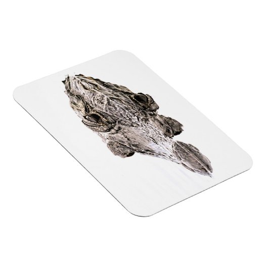 Gator Magnet Magneet (Rechterzijde)