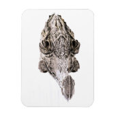 Gator Magnet Magneet (Verticaal)