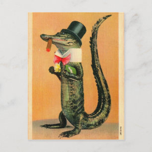 Gator met hoge hoed briefkaart