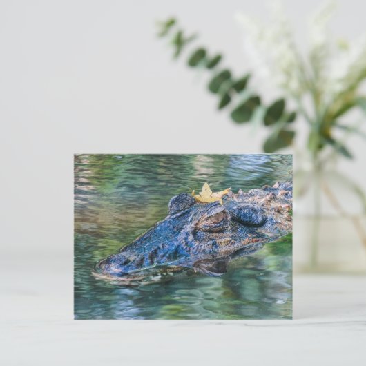 Gator met kroon briefkaart (Staand voorkant)