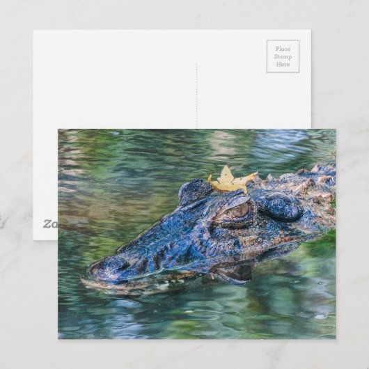 Gator met kroon briefkaart (Voorkant / Achterkant)