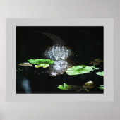 Gator Poster (Voorkant)