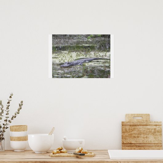 Gator Poster (Keuken)