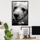 GATOR POSTER (Thuiskantoor)