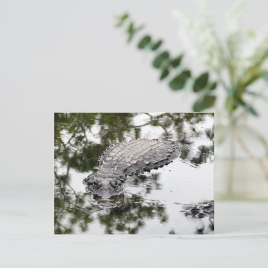 Gator Reflecties in het Briefkaart Moeras (Staand voorkant)