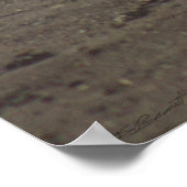 Gator Resting Poster -36x24 -andere beschikbare fo (Hoek)