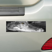Gator Sticker (Op auto)