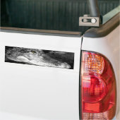 Gator Sticker (Op Truck)