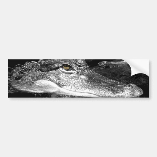 Gator Sticker (Voorkant)