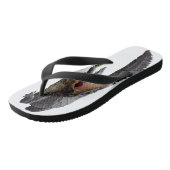 Gator Teenslippers (Schuin)