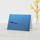 Gator Trail Kaart -  (Gele Bloem)