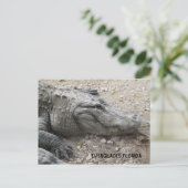 Gator voor glimlachen briefkaart (Staand voorkant)
