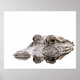 Gator Wildlife Poster