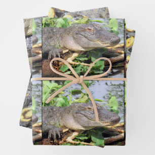 Gator Wrapping Papier Bladen - 3 Design Set Inpakpapier Vel