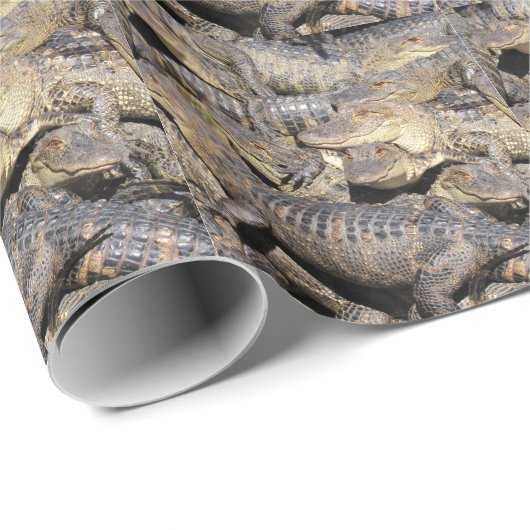 Gatordeegpapier Cadeaupapier (Rol Hoek)