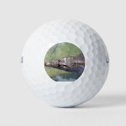 gatorzwemmen golfballen (Voorkant)