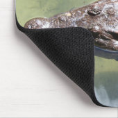 gatorzwemmen muismat (Hoek)