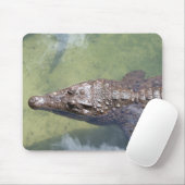 gatorzwemmen muismat (Met muis)