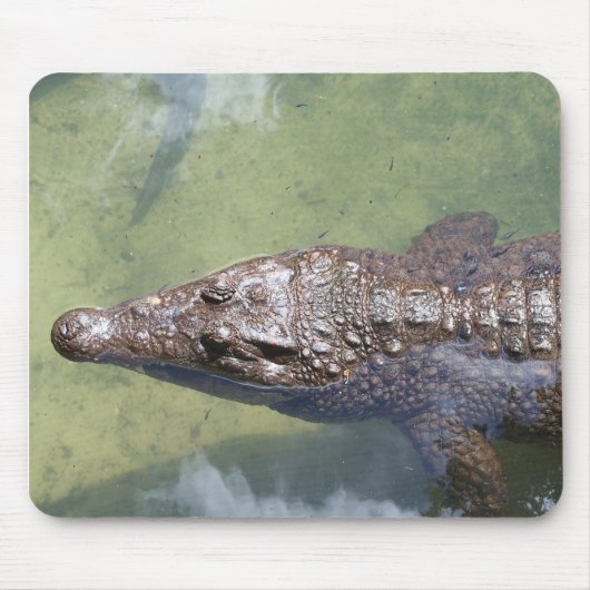 gatorzwemmen muismat (Voorkant)