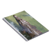 gatorzwemmen notitieboek (Rechterzijde)