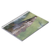 gatorzwemmen notitieboek (Linkerzijde)