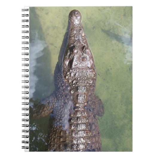 gatorzwemmen notitieboek (Voorkant)
