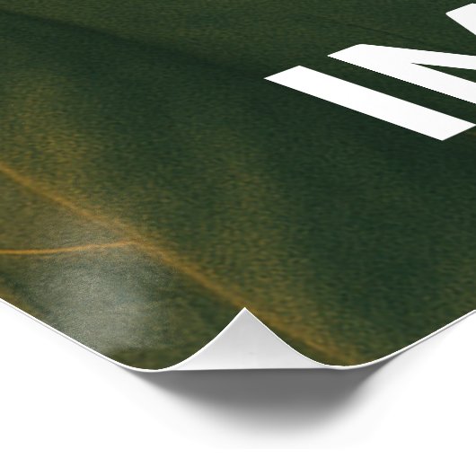 Gatos Não Pagam Impostos Perfect Poster (Hoek)