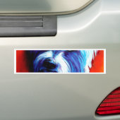gatsby bumpersticker (Op auto)