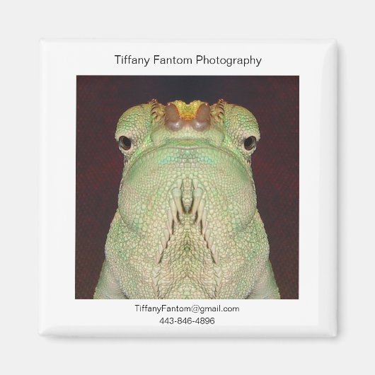 Gatsu Promo Magneet (Voorkant)