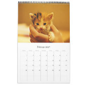 GATTI GATTINI CUCCIOLI - Calendario Kalender (Feb 2027)
