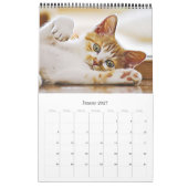 GATTI GATTINI CUCCIOLI - Calendario Kalender (Jan 2027)