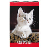 GATTI GATTINI CUCCIOLI - Calendario Kalender (Hoes)