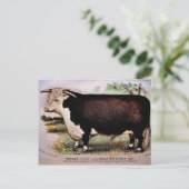 Gauci Hereford Cattle Briefkaart (Staand voorkant)