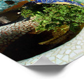 Gaudi Lizard Mosaics Poster (Hoek)