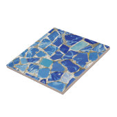 Gaudi-mozaïeken met olietoevoer tegeltje (Zijkant)