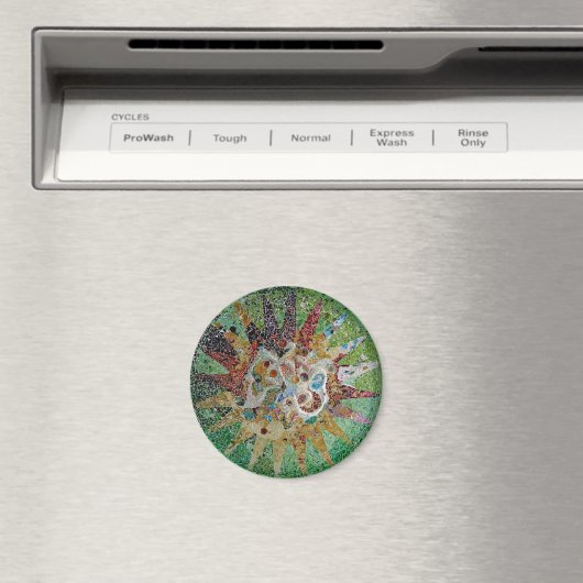 Gaudi Tegels Magneet (Insitu (Vaatwasser))