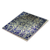 Gaudi's Park Guell Mosaic Tiles Barcelona Tegeltje (Zijkant)