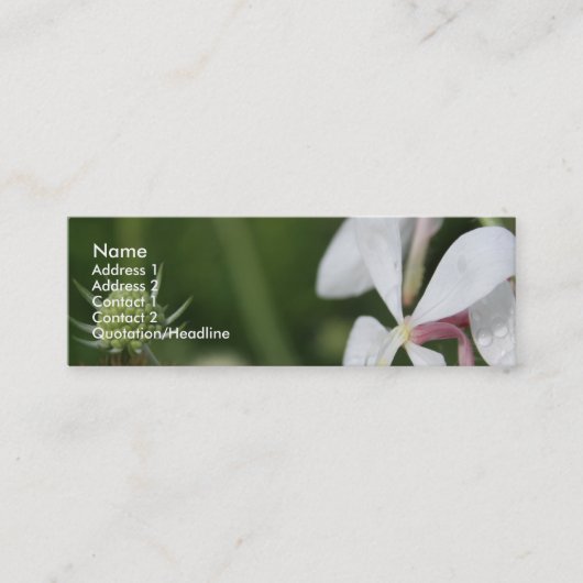 Gaura 2 mini visitekaartje (Voorkant)