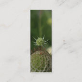 Gaura 2 mini visitekaartje (Achterkant)