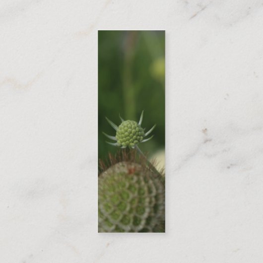 Gaura 2 mini visitekaartje (Achterkant)