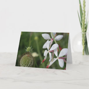 Gaura Floral Photography Wenskaart Kaart