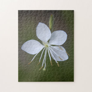 Gaura lindheimeri - Whirling Butterflies Legpuzzel