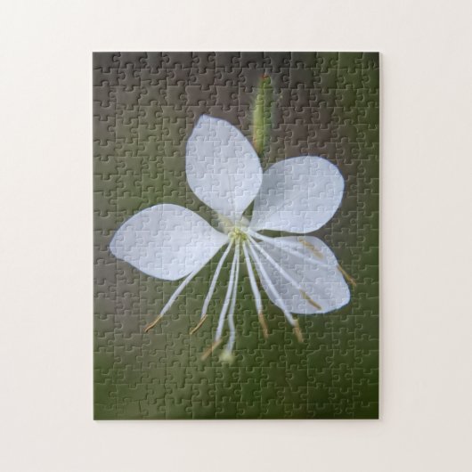 Gaura lindheimeri - Whirling Butterflies Legpuzzel (Verticaal)