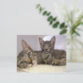 Gaven en Grover Briefkaart (Staand voorkant)