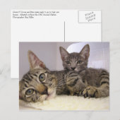 Gaven en Grover Briefkaart (Voorkant / Achterkant)