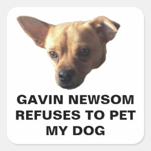 Gavin Newsom weigert mijn hond te aaien Vierkante Sticker