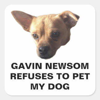 Gavin Newsom weigert mijn hond te aaien Vierkante Sticker