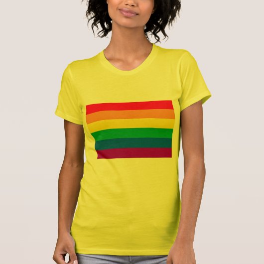 GAY FLAG ORIGINEEL T-SHIRT (Voorkant)