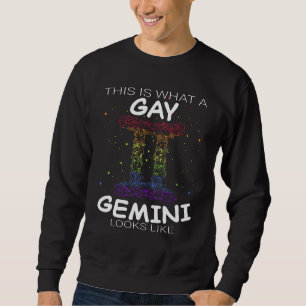 Gay Gemini Zodiac Lgbetq Gay Pride Lgbt Pride Appa Trui