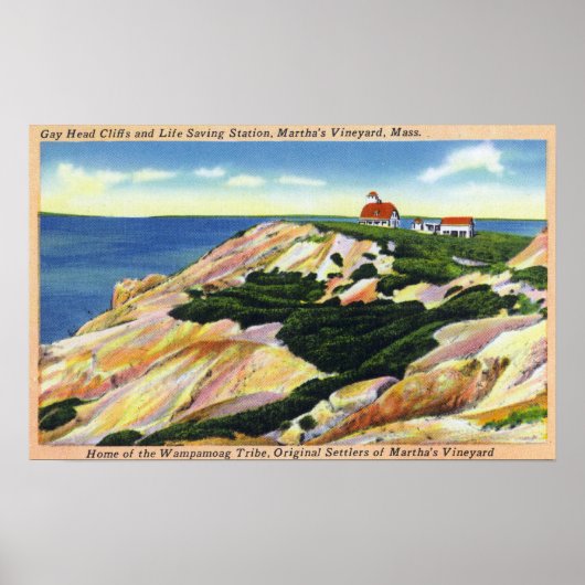 Gay Head Cliffs and Life Saving Station Uitzicht Poster (Voorkant)